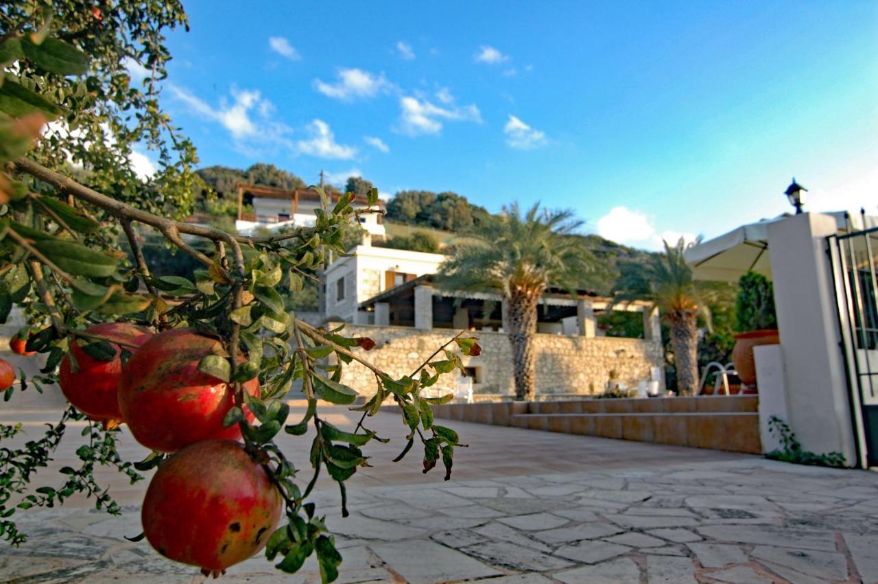 Kreta Villa Anastasia Сітія Екстер'єр фото